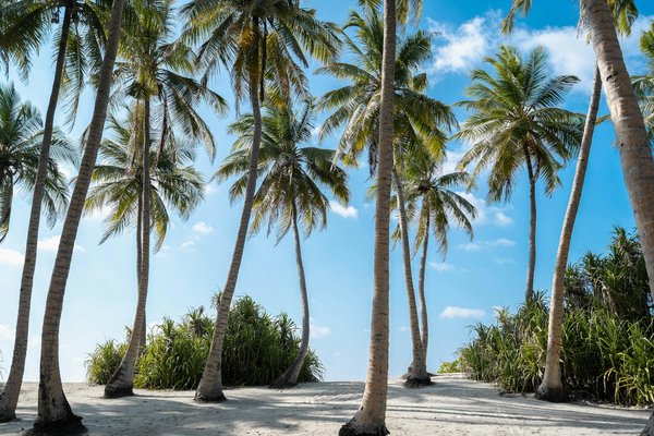 Location de camionnette 10 m³ : optimisez votre déménagement !